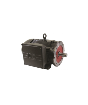 WEG01018ES1E215T