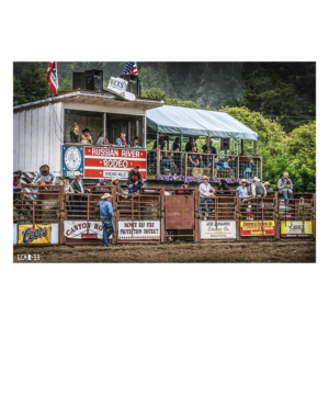 Announcer Stands