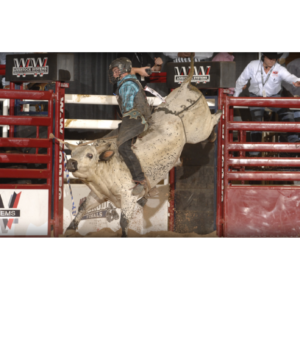 Bucking Chutes